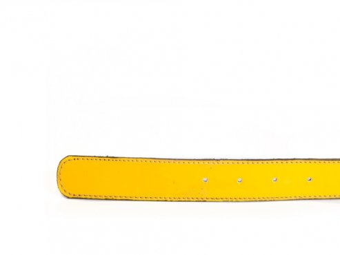 Lemon model belt, made in lemon lollipop t-115