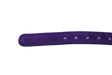 PURPLEGON C 