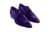 PURPLEGON