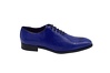 BLUE FALCON