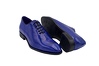 BLUE FALCON