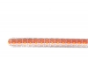 Modèle de ceinture Ferus, fabriqué en FANTASIA TOMATES