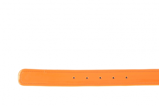 Citrus model belt, manufactured in ISI-PRISMA 5178 N1
