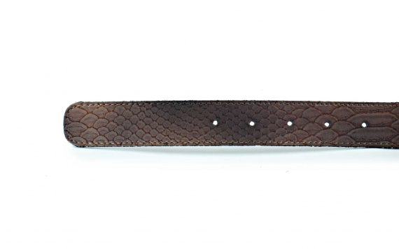 Tarentule model belt, manufactured in toga snake miel. 